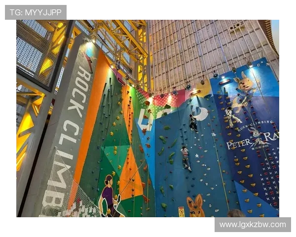 南京攀岩队耐力训练的深度分析与技巧分享